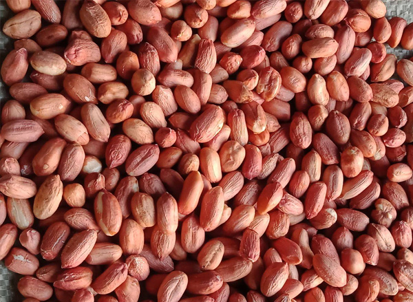 Large miscellaneous peanuts